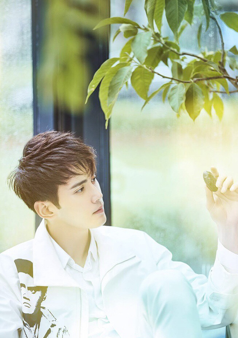 徐正溪相关图片