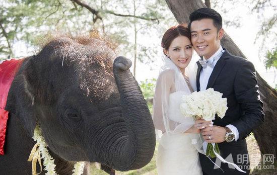 陈赫结婚照全曝光文章何炅谢娜娄艺潇齐祝福1013