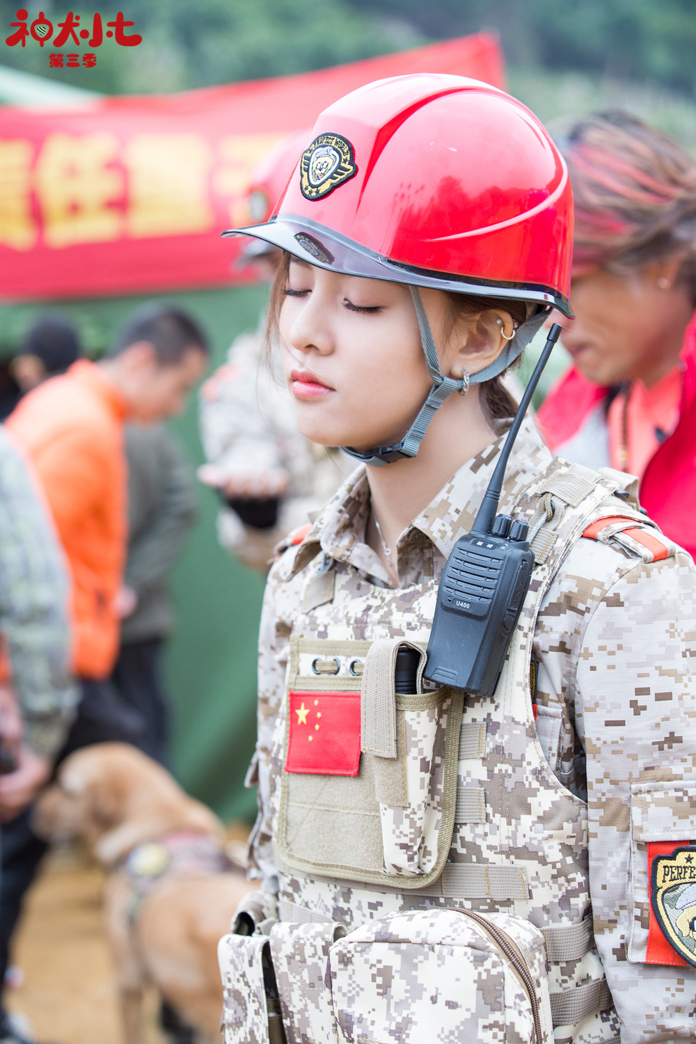 神犬小七3剧照图片