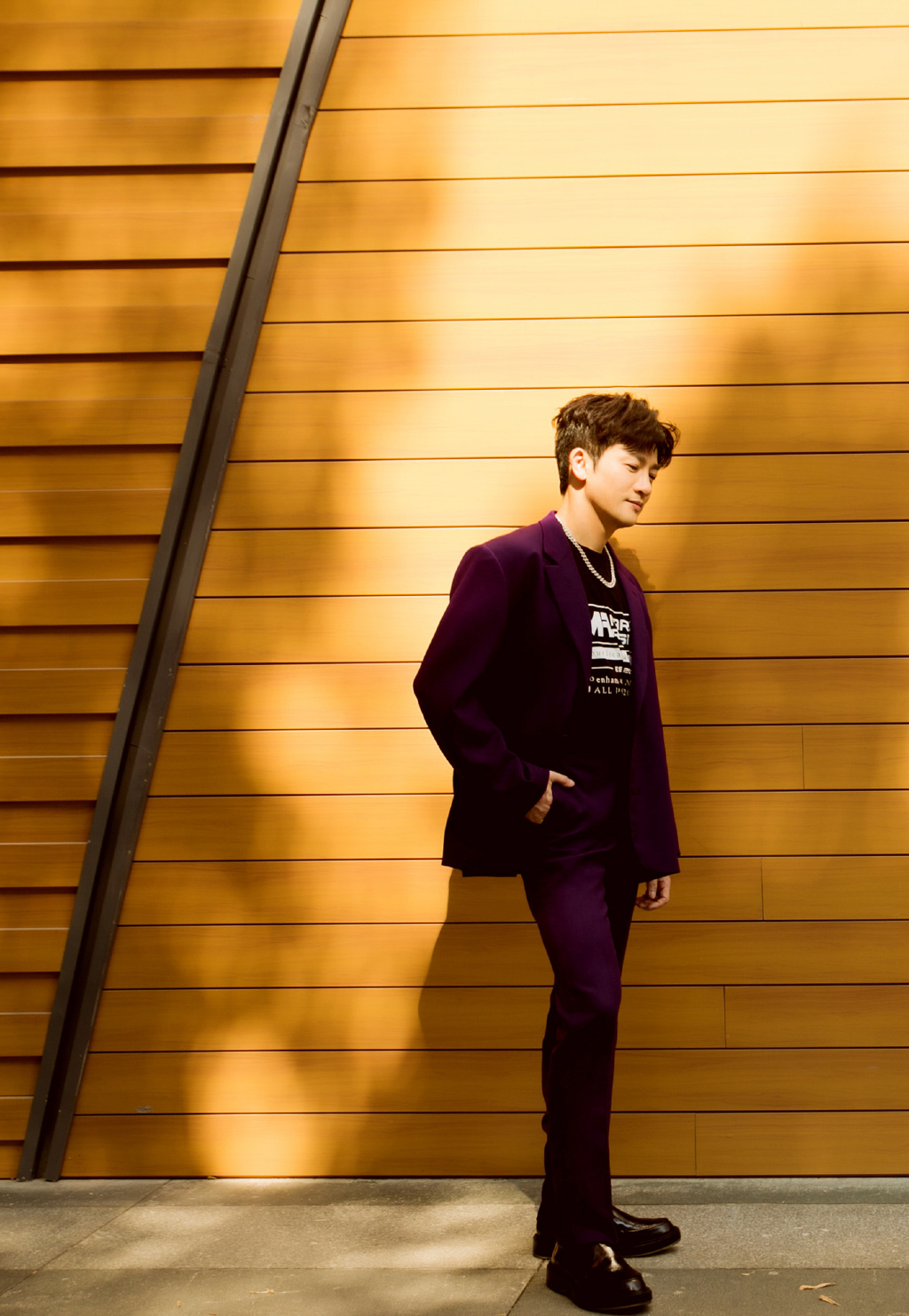 苏有朋紫色西装帅气写真图片47