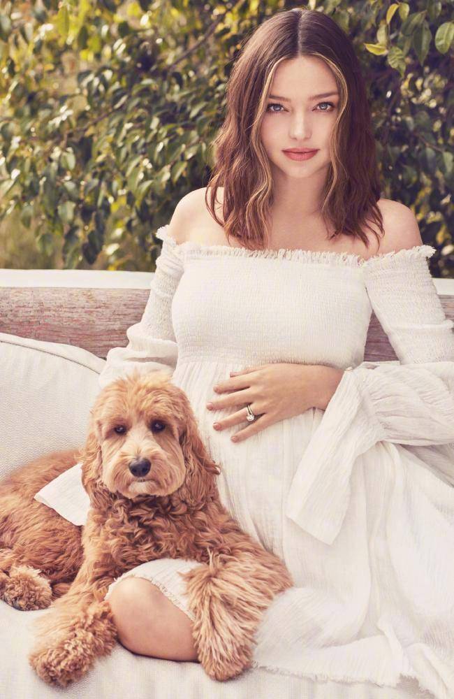 米兰达可儿气质孕肚写真图片78