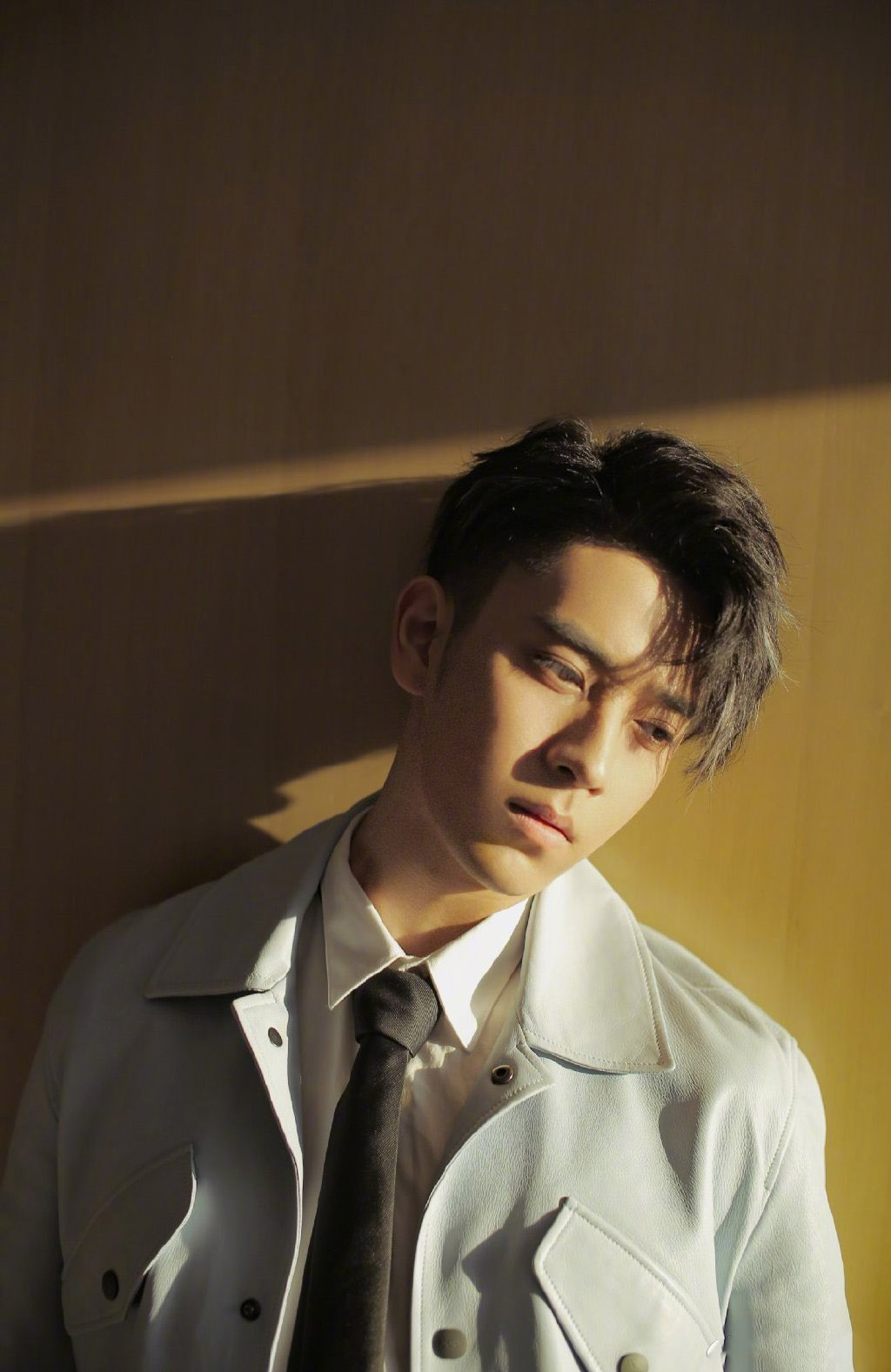 陈若轩温暖治愈写真图片79