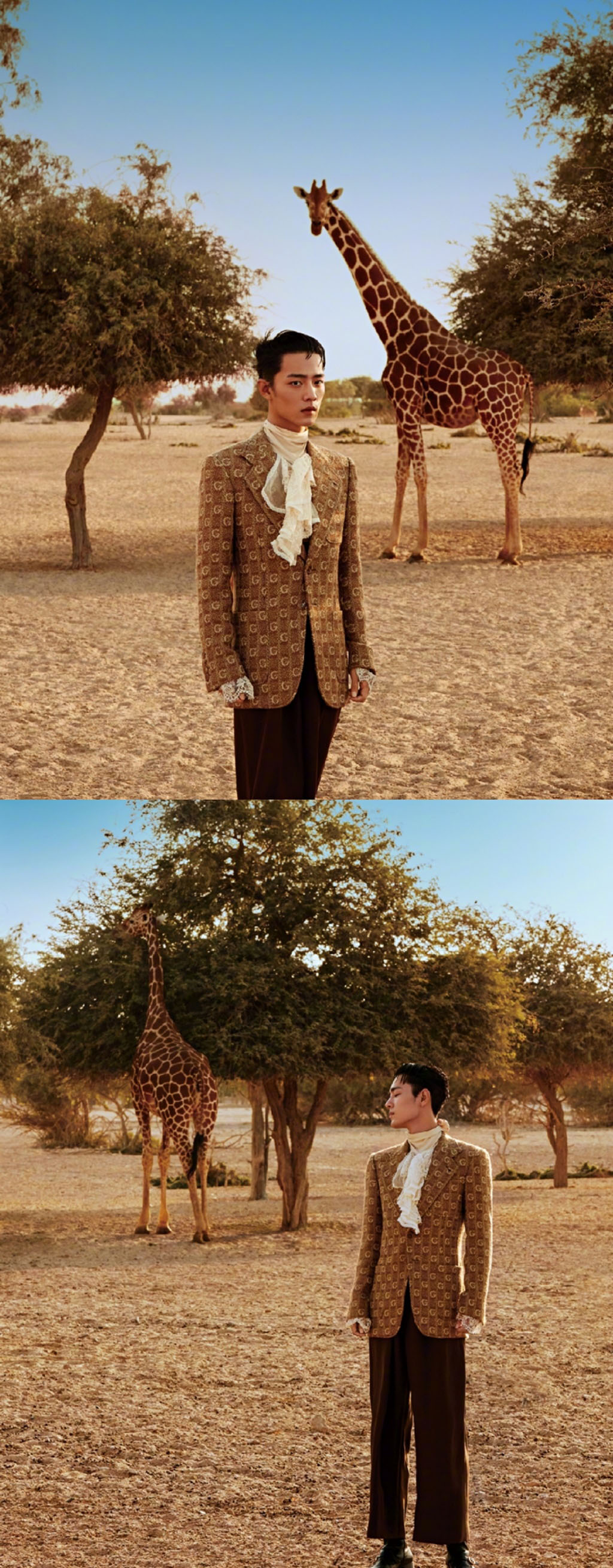 肖战西部牛仔风沙漠写真图片19