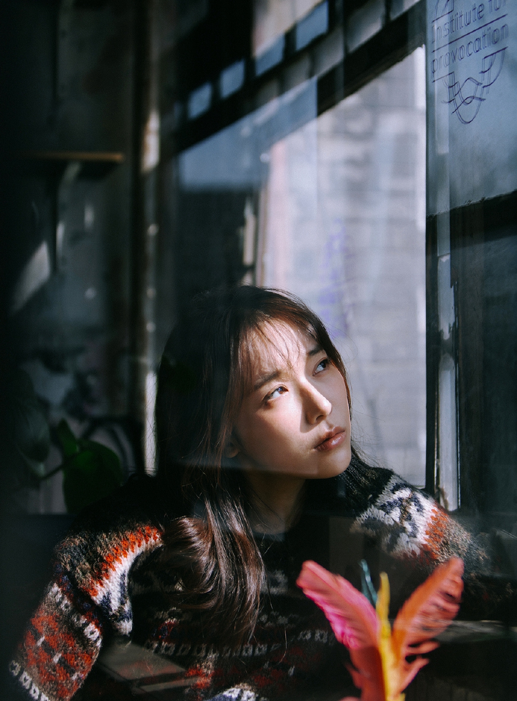 图片,分享一组宁心图片给大家,图中的明星图片壁纸会点缀你的电脑桌面