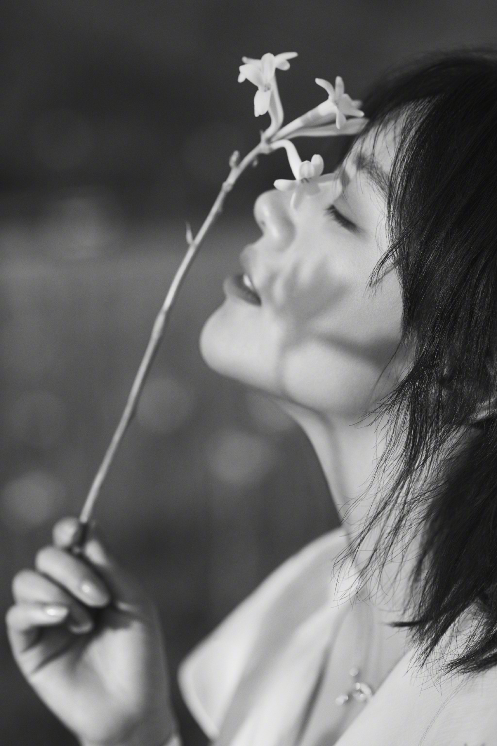 马思纯黑白唯美写真图片