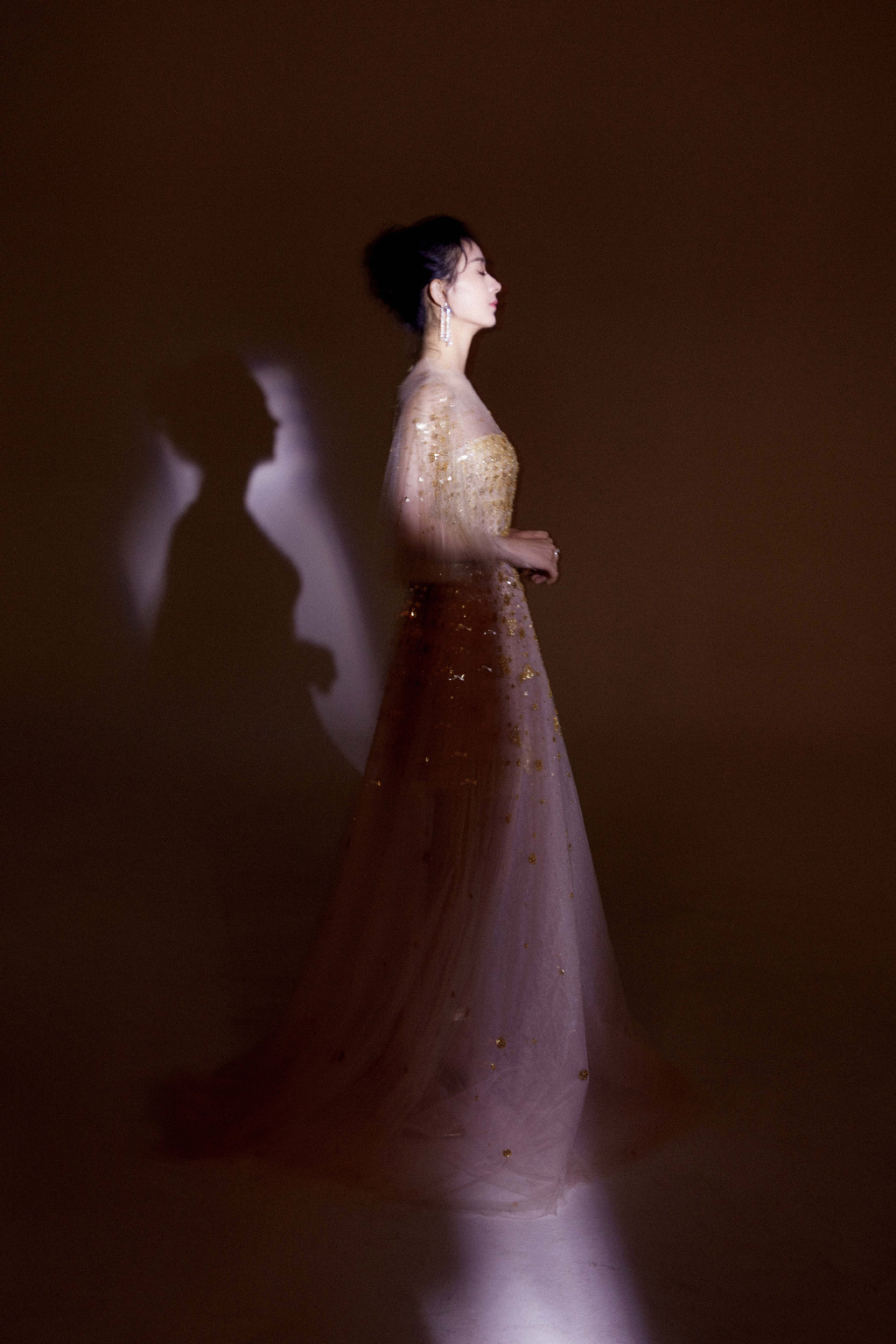 赵丽颖明星慈善夜性感优雅图片15