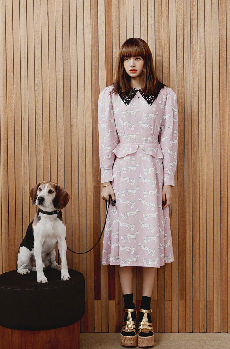 lisa性感撩人时尚写真大片411