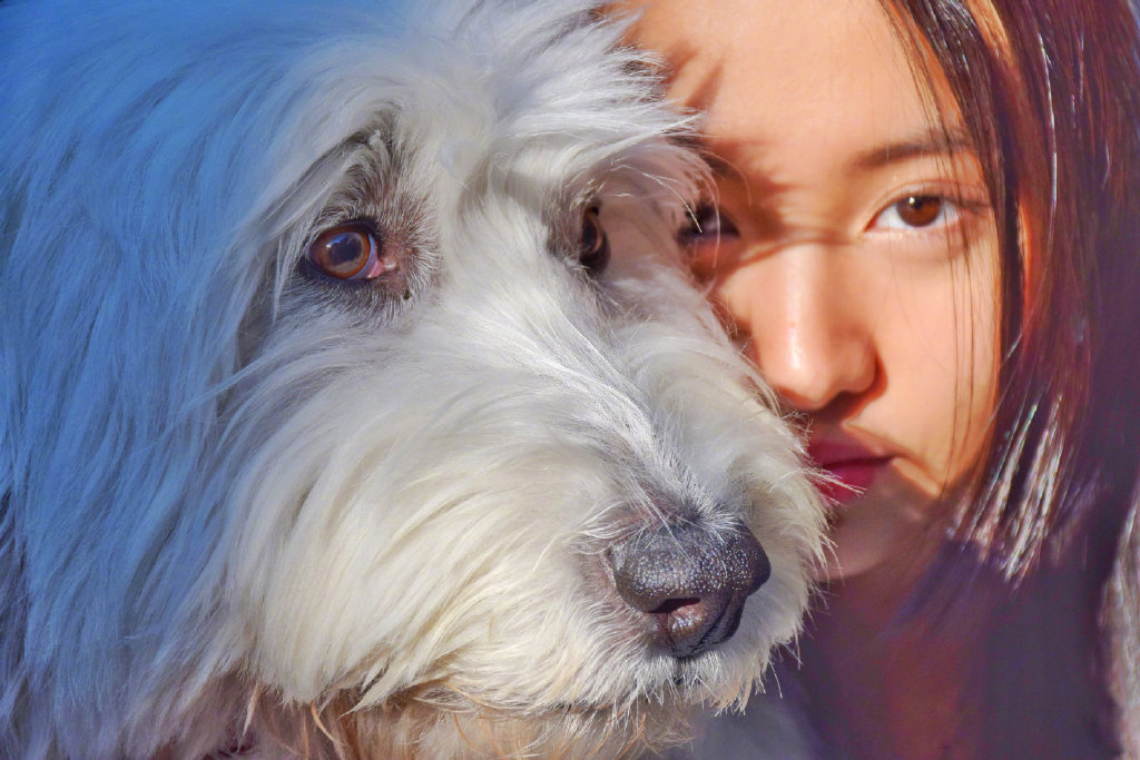 木村光希春日阳光写真图片39