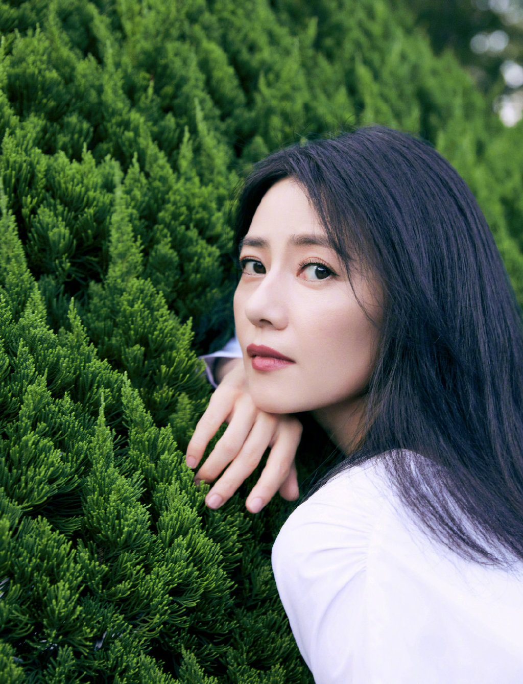 高圆圆白衣黑裙优雅花园写真图片29