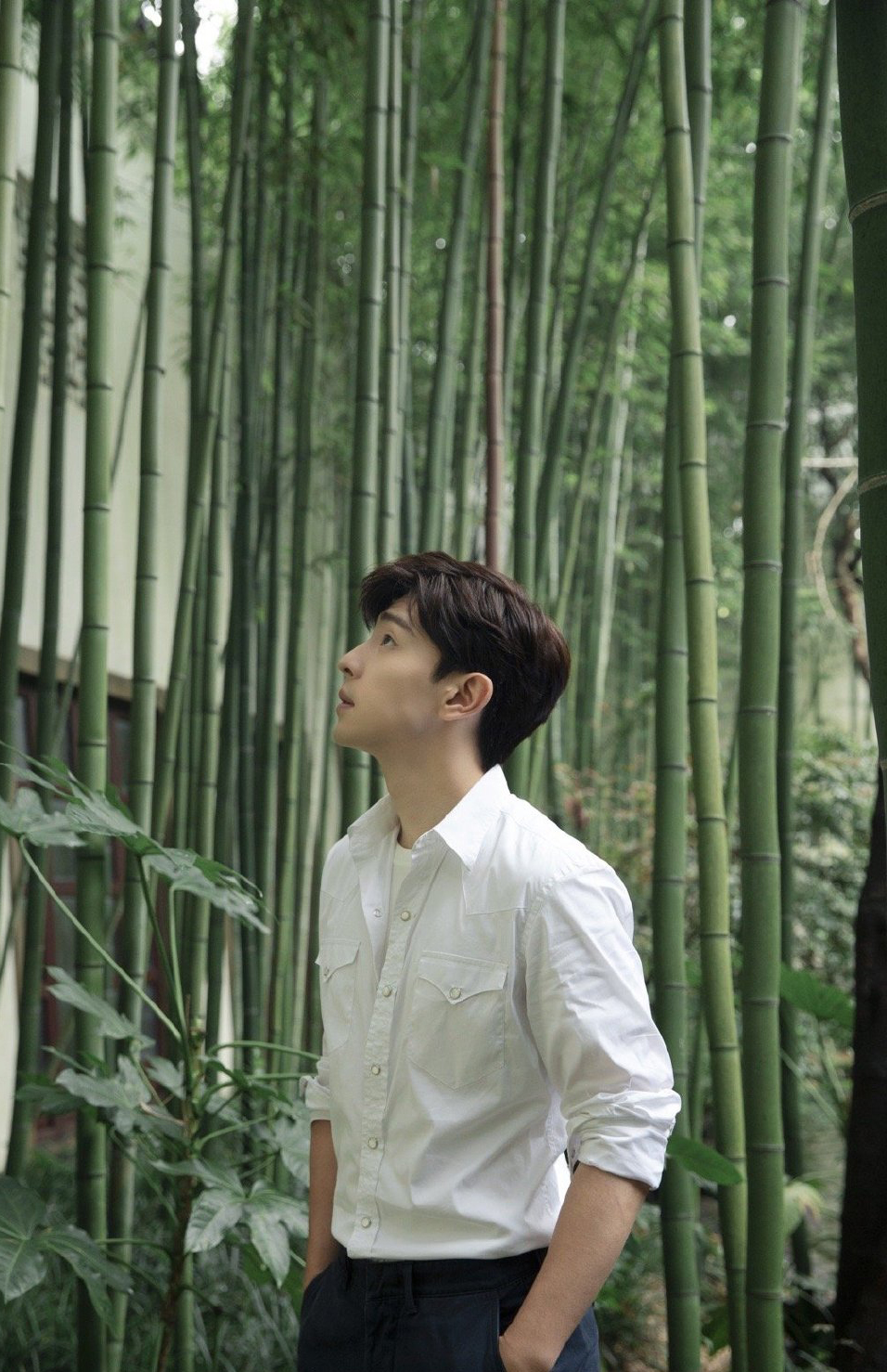 邓伦清爽白衬衫帅气写真图片56