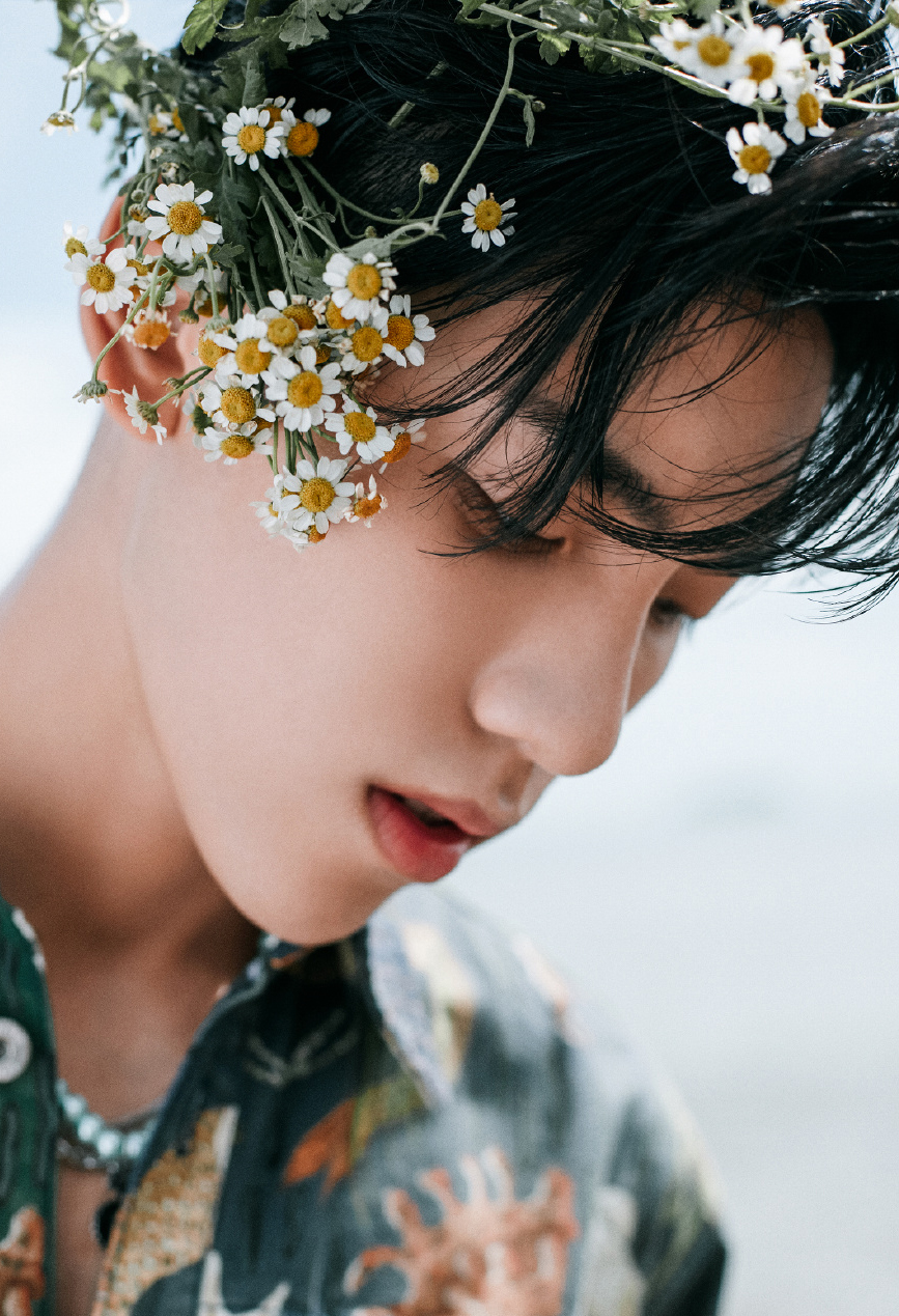 王子异海边花卉写真大片79