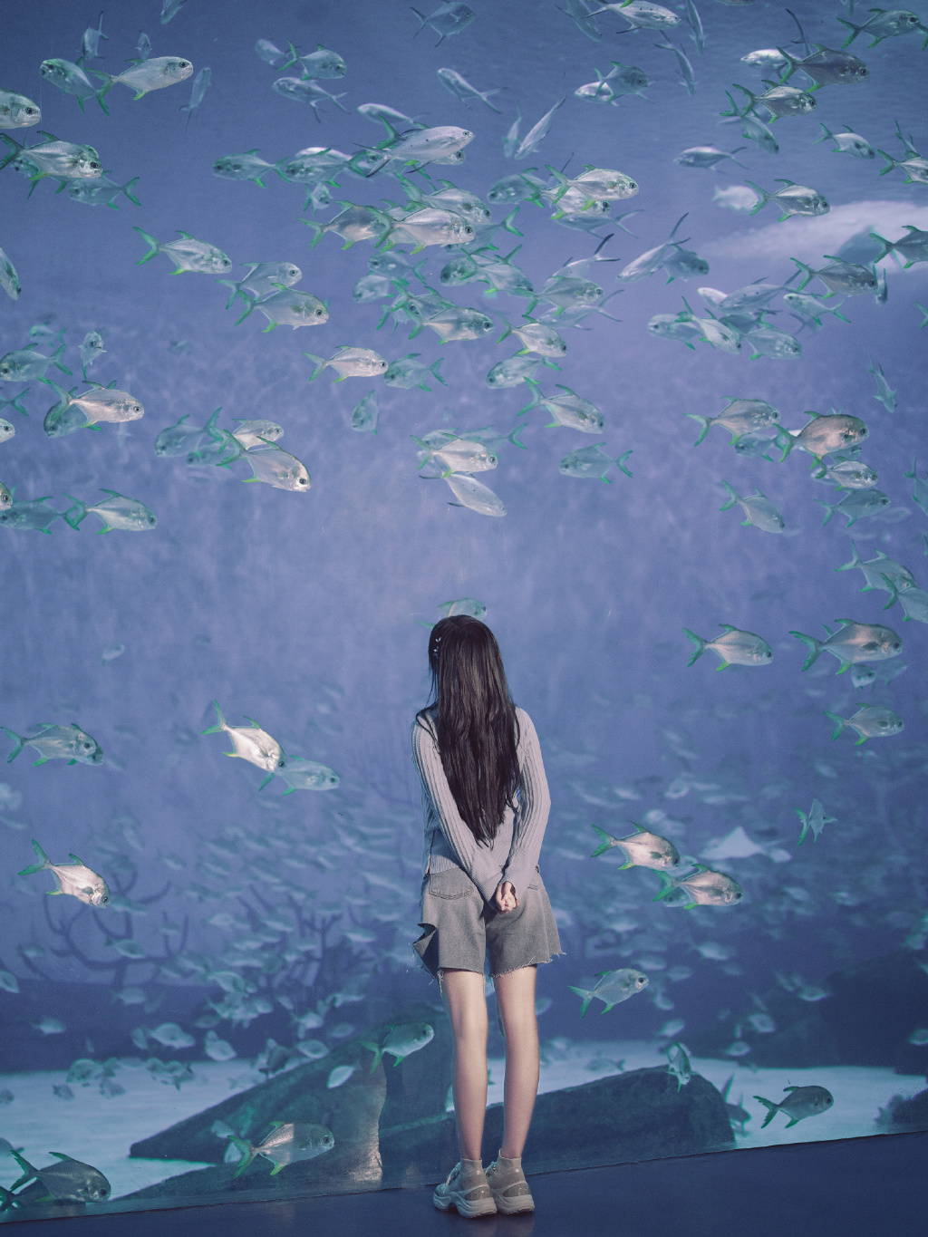 程潇海洋馆甜美清新写真图片211