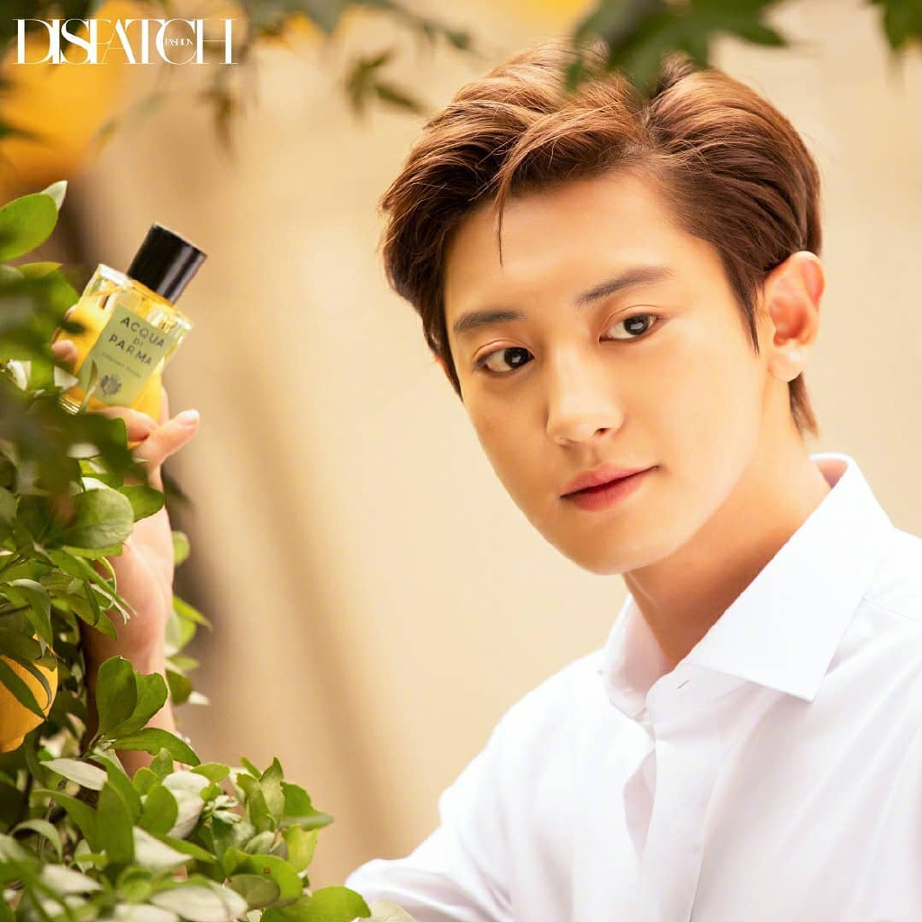 朴灿烈清新温柔秋日画报写真图片1415