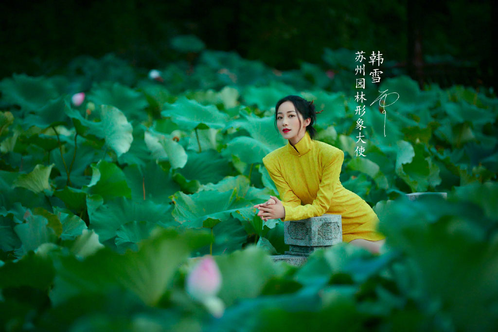 韩雪苏州园林大片写真图片810