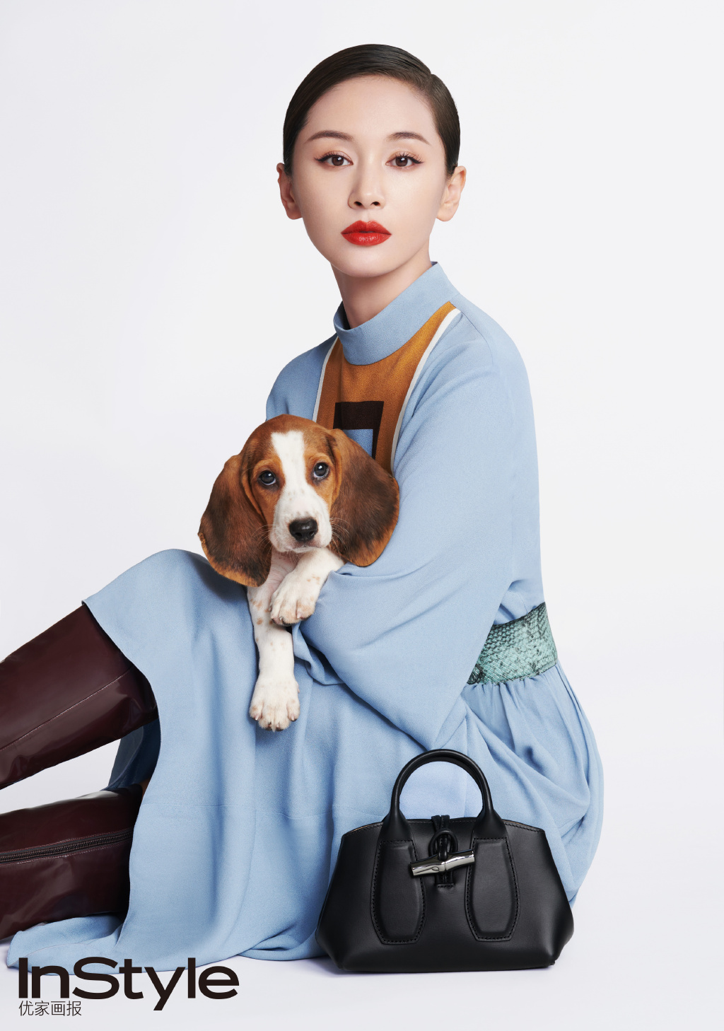 王子文萌犬可爱品牌代言图片22