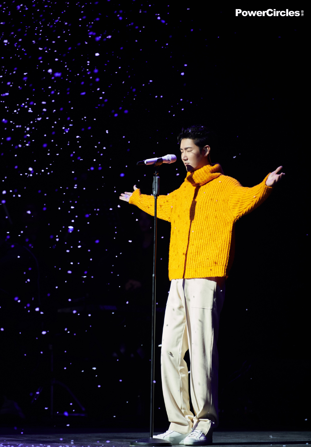 > 王晰2020个人巡回音乐会帅气图片(17/19)