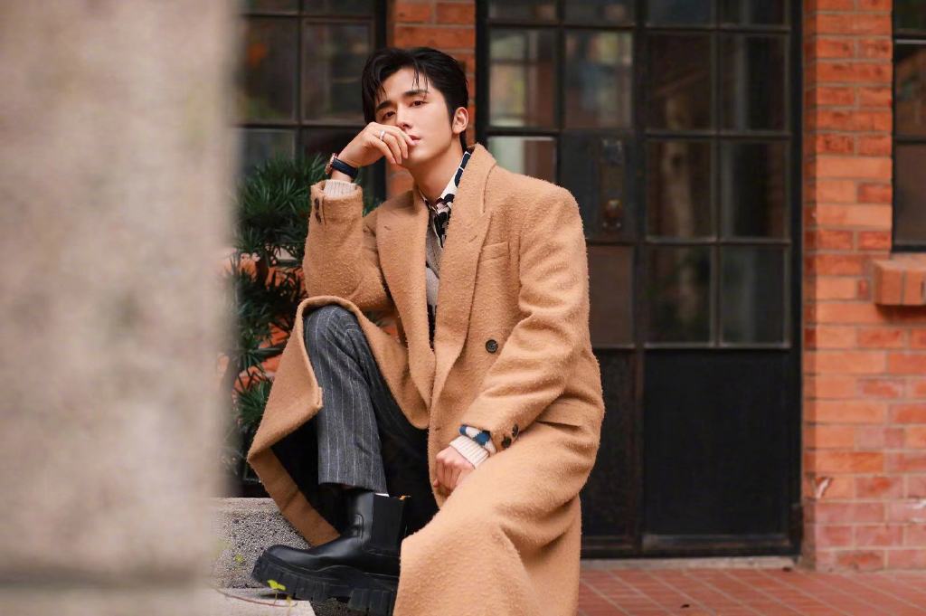 张新成驼色大衣帅气写真图片29
