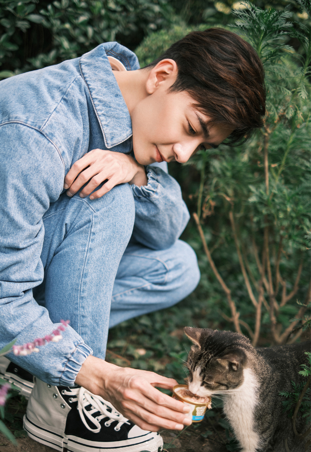 陈星旭牛仔服清新草地写真图片212