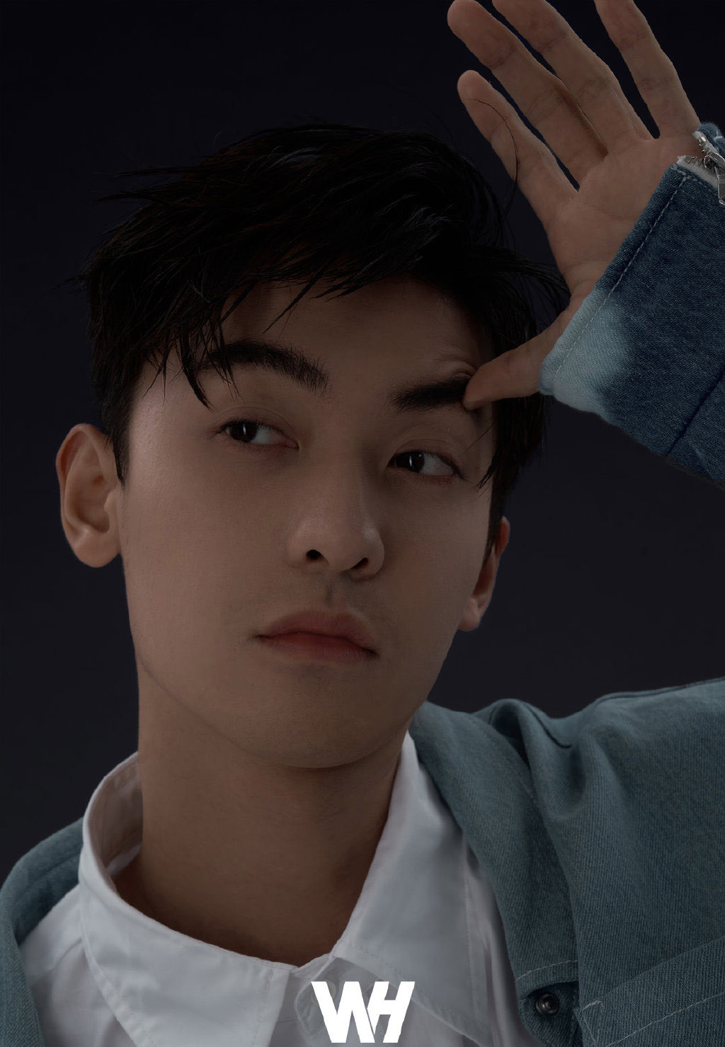 赵志伟帅气百变写真图片59