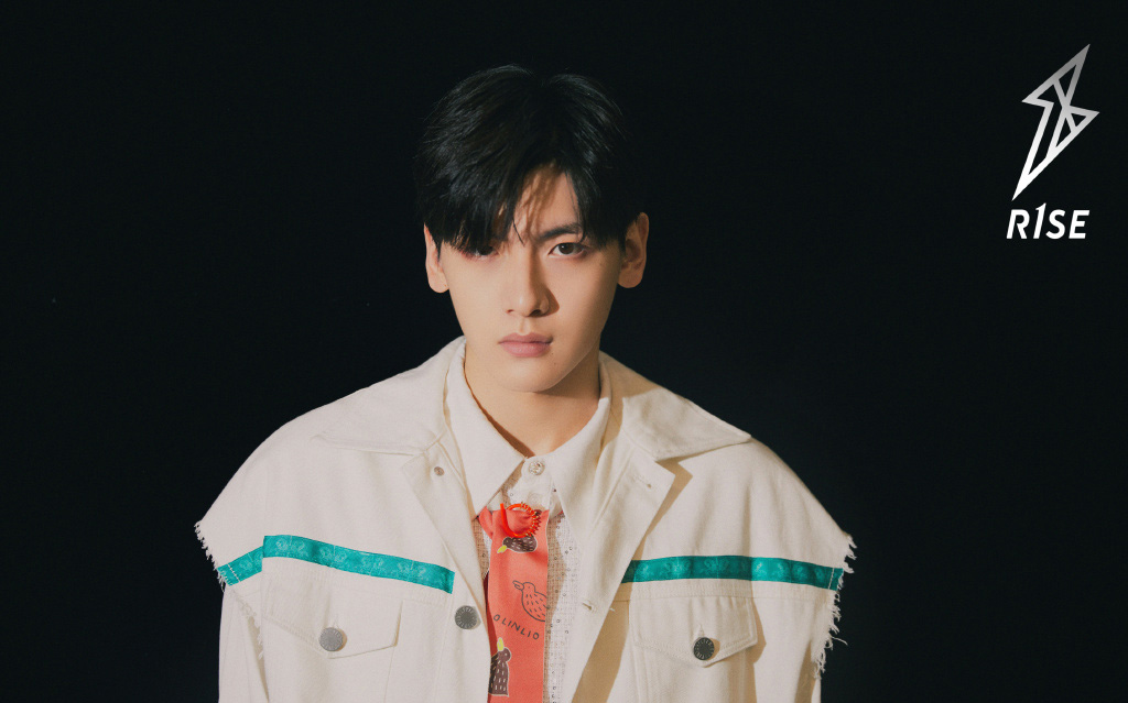 翟潇闻夏日清新帅气写真44